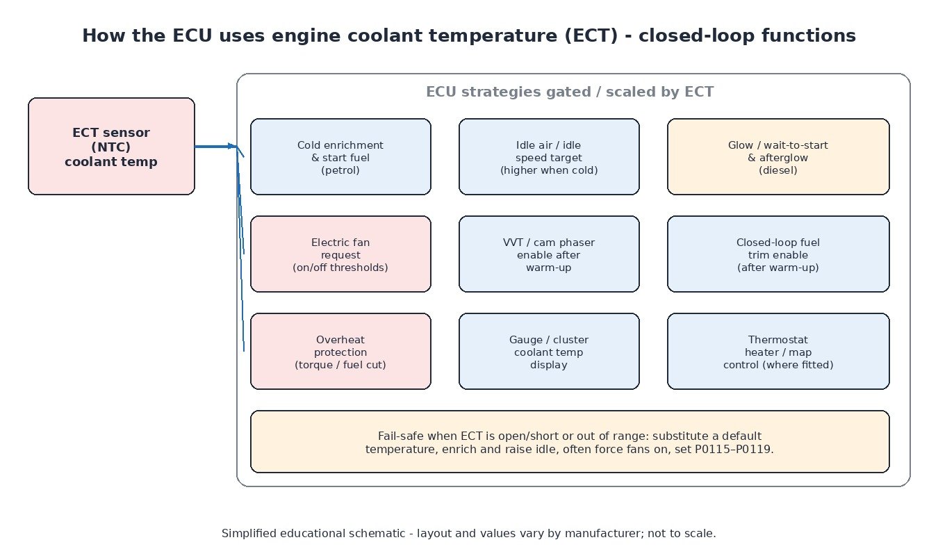 ECU closed-loop uses of engine coolant temperature: cold enrichment, idle air, electric fan request, diesel glow, VVT enable, overheat protection